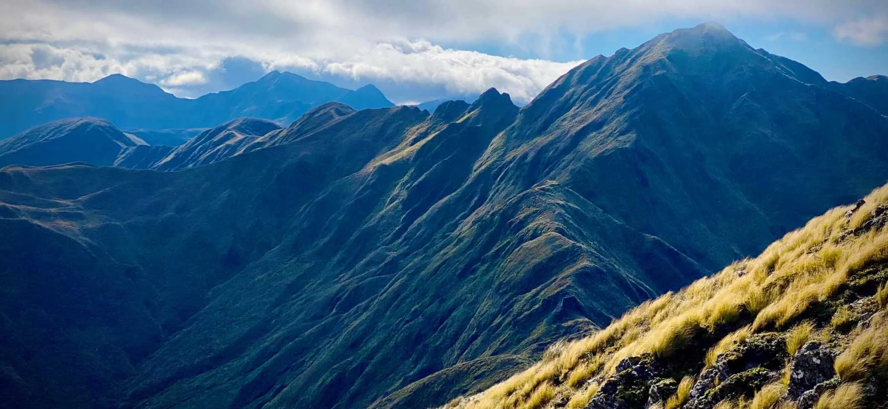 A runner's view of the Tararua tops