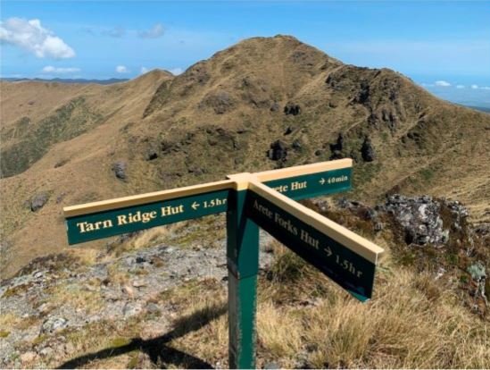 Junction on Waiohine Pinnacles with Mt Lancaster in the background