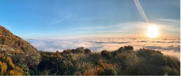 Looking North East towards Wairarapa