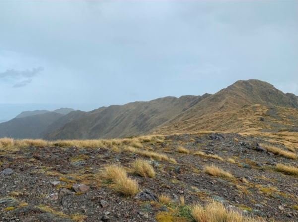 The rain unfortunately didn’t make the peaks any flatter!